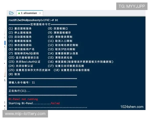 宝塔面板忘记密码快速找回方法最新教程全解析
