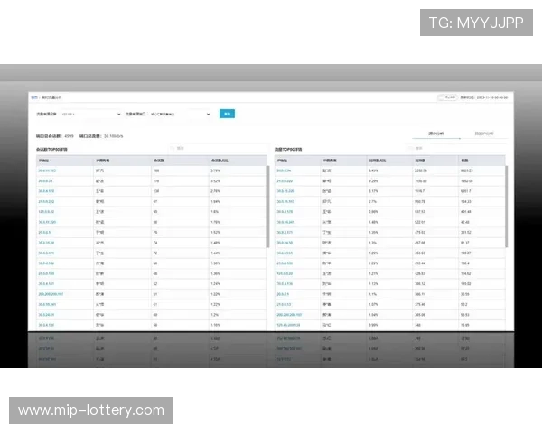 Matomo流量分析工具的全面应用与优化策略解析